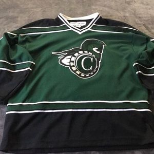 Castleton Vermont College Hockey Jersey